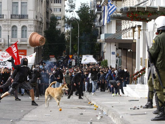 riot-dog