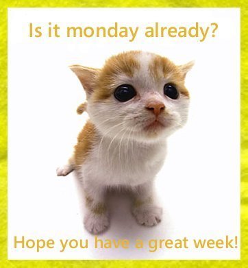 monday009
