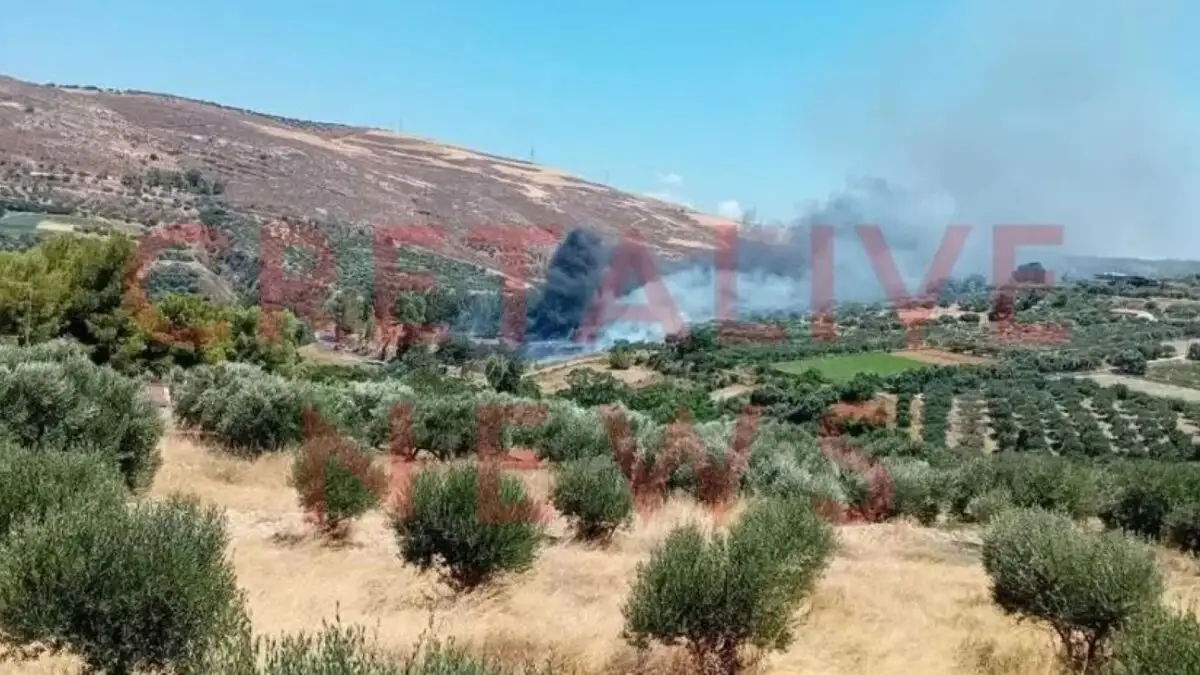 Knossos Antik Kenti'ndeki Yangın Nedeniyle Geçici Tahliye